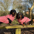 Load image into Gallery viewer, Red Houndstooth Dachshund Fleece Long Dog Zipper Valentines Jumper