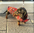 Load image into Gallery viewer, Sausage Dog Box Designer Fleece Waterproof 'Tartan' Dachshund Coat