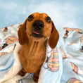 Load image into Gallery viewer, Blanket - Up, Up & Away