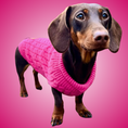 Load image into Gallery viewer, Raspberry Ripple Luxury Cable Knit Dachshund Jumper - Sausage Dog Box
