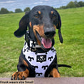 Load image into Gallery viewer, BARK AVENUE Adjustable Harness - 3 colours