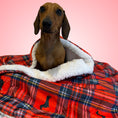 Load image into Gallery viewer, Supersize Red Dachshund Blanket - Tart’n Up