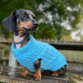 Load image into Gallery viewer, Frozen Blue Luxury Cable Knit Dachshund Jumper - Sausage Dog Box