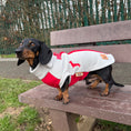 Load image into Gallery viewer, Cupids Kiss Waterproof Dachshund Harness Fleece | Sausage Dog Box DoxieDri