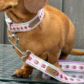 Load image into Gallery viewer, A Dach Of Sweetness Collar