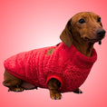 Load image into Gallery viewer, Red Dachshund Jumper | Sausage Dog Harness Fleece Sweater Miniature / Standard