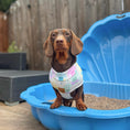 Load image into Gallery viewer, Sunkissed Sandy Sausage DoxieCool Dachshund Cooling Vest +30 Sun Protection