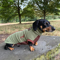 Load image into Gallery viewer, Pistachio Waterproof Dachshund Harness Fleece | DoxieDri by Sausage Dog Box