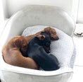 Load image into Gallery viewer, Sausage Dog Box Molly Sofa