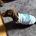 Load image into Gallery viewer, ‘Rock A Bye’ Sausage Dog Box Puppy Pj Jumper