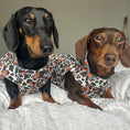 Load image into Gallery viewer, Howdy Cowboy 'Dach-A-Mac' Dachshund Rain Mac In Bag Sausage Dog Box Coat