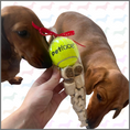 Load image into Gallery viewer, Ball and Treat Cone
