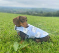 Load image into Gallery viewer, Sausage Dog Box Designer Fleece Waterproof 'Bahbah' Sheep Dachshund Coat