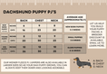 Load image into Gallery viewer, Pink & Yellow ‘Flutter By Heart’ Sausage Dog Box Puppy Pj Jumper