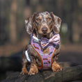 Load image into Gallery viewer, Pink Sophisticated Sausage Dachshund Bow Tie