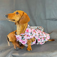 Load image into Gallery viewer, Howdy Cowgirl 'Dach-A-Mac' Dachshund Rain Mac In Bag