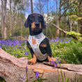 Load image into Gallery viewer, Dachshund Wonderland Anti-Rub Sausage Dog Harness