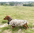 Load image into Gallery viewer, Sausage Dog Box Designer Fleece Waterproof 'Leopard' Dachshund Coat