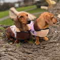 Load image into Gallery viewer, Beige Sophisticated Sausage Sherpa Fleece Dachshund Dog Coats