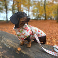 Load image into Gallery viewer, Frosty Sausages Christmas Dachshund Jumper - Long Dog Zipper Fleece