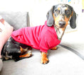 Load image into Gallery viewer, Sausage Dog Box Burgundy Dachshund Hoodie