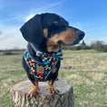 Load image into Gallery viewer, Navy Balloon Dog Dachshund Anti-Rub Harness