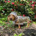 Load image into Gallery viewer, Pink Starburst Dachshund Naked Waterproof Rain Mac/Coat With Hood