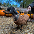 Load image into Gallery viewer, Gingerbread Cookie Luxury Cable Knit Dachshund Jumper - Sausage Dog Box