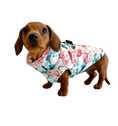 Load image into Gallery viewer, CLEARANCE - Sausage Dog Box Waterproof Puffer Step In Coat - Butterfly