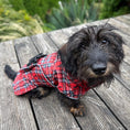 Load image into Gallery viewer, Sausage Dog Box Perfect Fit Dachshund Coat - Tart’n Up