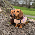 Load image into Gallery viewer, Pink Sophisticated Sausage Sherpa Fleece Dachshund Dog Parker Jacket