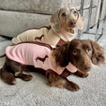 Load image into Gallery viewer, Walnut Whip DoxieDri Dachshund Harness Fleece