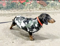 Load image into Gallery viewer, CLEARANCE - Sausage Dog Box Waterproof Step In Puffer Coat - Khaki Print