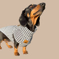 Load image into Gallery viewer, Houndstooth Dachshund Fleece Jumper / Sweater | Sausage Dog Box