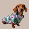 Load image into Gallery viewer, Pink Rosewood Argyle Fleece Dachshund Dog Jumper
