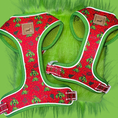 Load image into Gallery viewer, ‘Meanie Weenie’ Red Anti-Rub Dachshund Christmas Harness - Sausage Dog Box