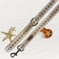 Load image into Gallery viewer, Ahoy Star Sausage Lead