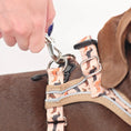 Load image into Gallery viewer, Doxie StepMag Step-in Magnetic Dachshund Harness - Sophisticated Sausage