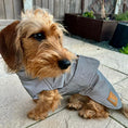 Load image into Gallery viewer, Sausage Dog Coat - Glow Getter - Reflective Light Up LED Dachshund Coat