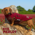 Load image into Gallery viewer, Merlot Waterproof Dachshund Harness Fleece | DoxieDri Step-In Fleece
