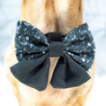 Load image into Gallery viewer, Black Twilight Doxie Sailor Bow for Dogs