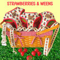 Load image into Gallery viewer, Strawberries & Weens Collar