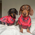 Load image into Gallery viewer, Dachshund Second Skin Tee - ‘Tart’n Up’