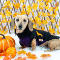 Load image into Gallery viewer, Spiced Twilight Waterproof Dachshund Harness Fleece | Sausage Dog Box DoxieDri