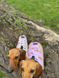 Load image into Gallery viewer, Beige Sophisticated Sausage Sherpa Fleece Dachshund Dog Coats