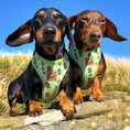 Load image into Gallery viewer, Weenie-Saurus Anti-Rub Dachshund Harness