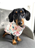 Load image into Gallery viewer, CLEARANCE - Sausage Dog Box Waterproof Puffer Step In Coat - Butterfly