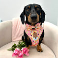 Load image into Gallery viewer, It's All Groovy Anti-Rub Dachshund Harness