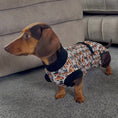 Load image into Gallery viewer, Antibacterial Dachshund Dog Surgery Suit | Sausage Dog Recovery / Allergy Outfit