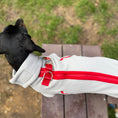 Load image into Gallery viewer, Cupids Kiss Waterproof Dachshund Harness Fleece | Sausage Dog Box DoxieDri